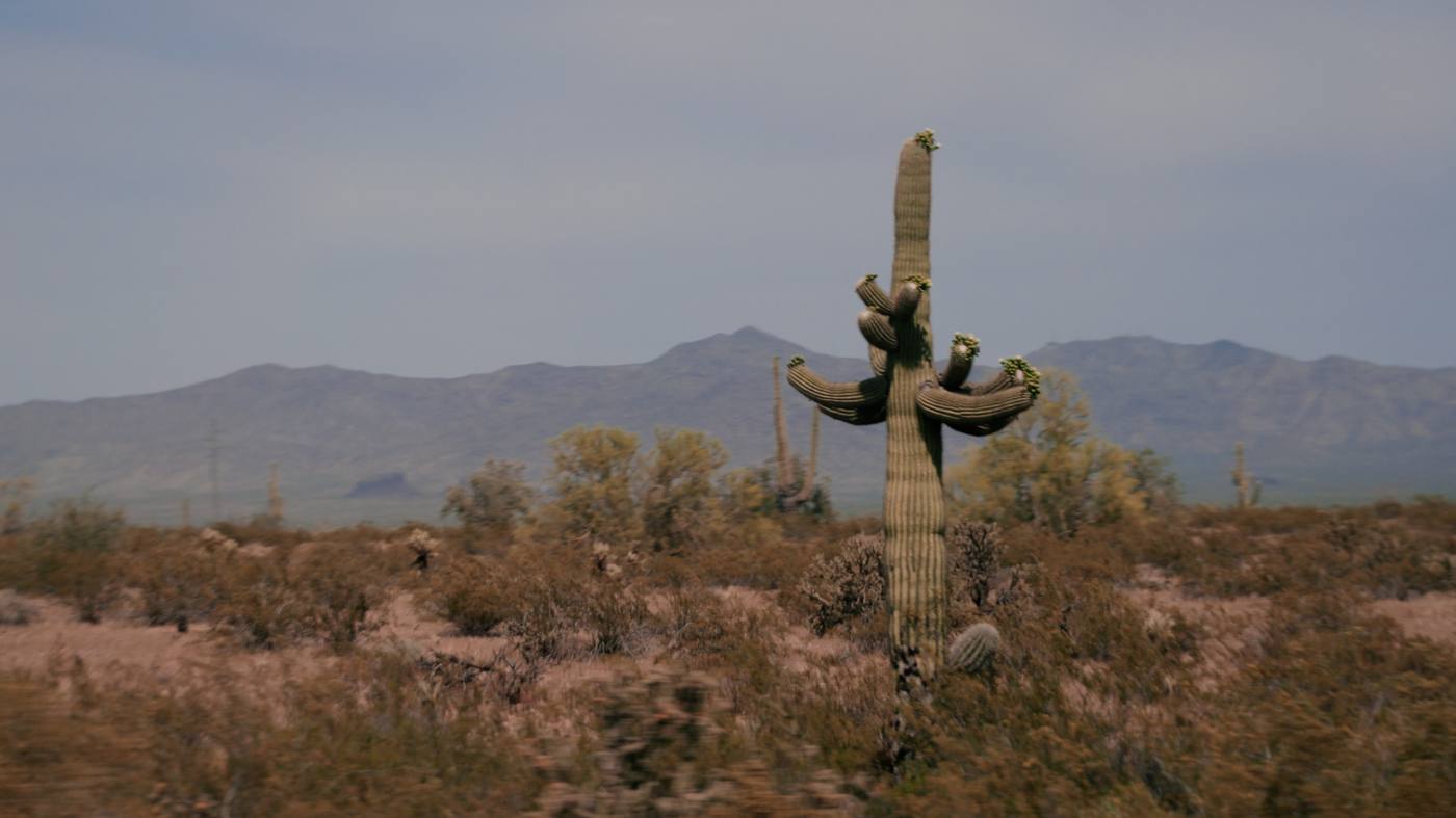 Arizona desert landscape shot through bus window on drive to Phoenix